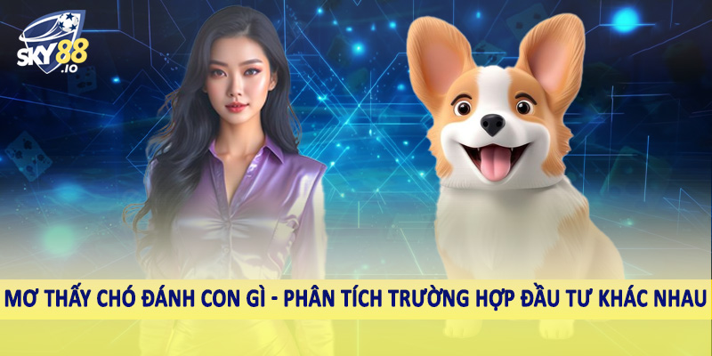Mơ thấy chó đánh con gì - Phân tích trường hợp đầu tư khác nhau