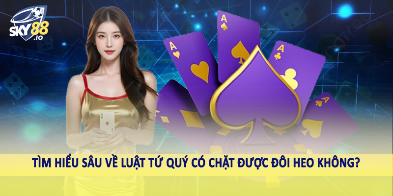 Tứ Quý Có Chặt Được Đôi Heo Không Sky88 - Bàn Luận Sâu 2 Tìm hiểu sâu về luật tứ quý có chặt được đôi heo không?