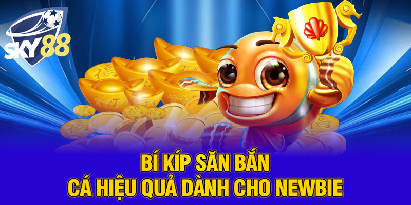 Bí kíp săn bắn cá hiệu quả dành cho newbie
