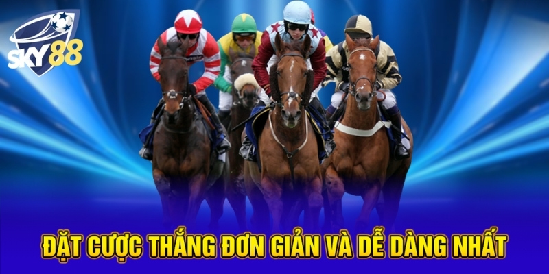 Đặt cược thắng đơn giản và dễ dàng nhất