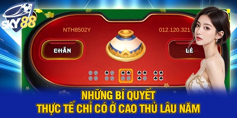 Những bí quyết thực tế chỉ có ở cao thủ lâu năm