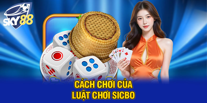 Cách chơi của luật chơi sicbo