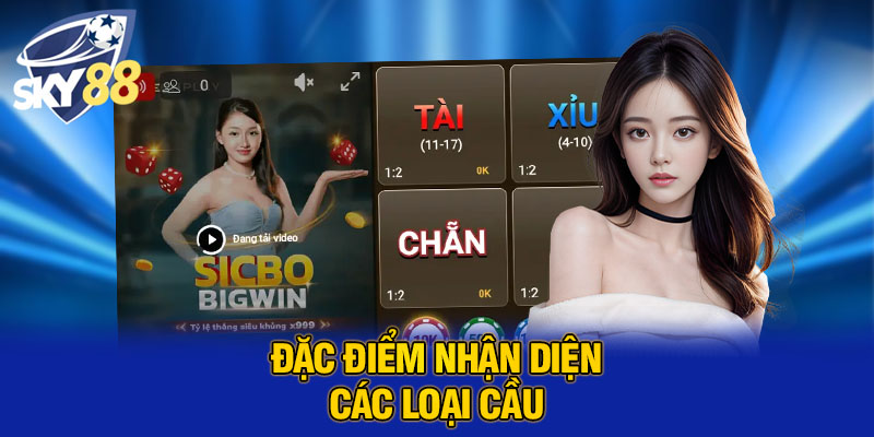 Đặc điểm nhận diện các loại cầu 